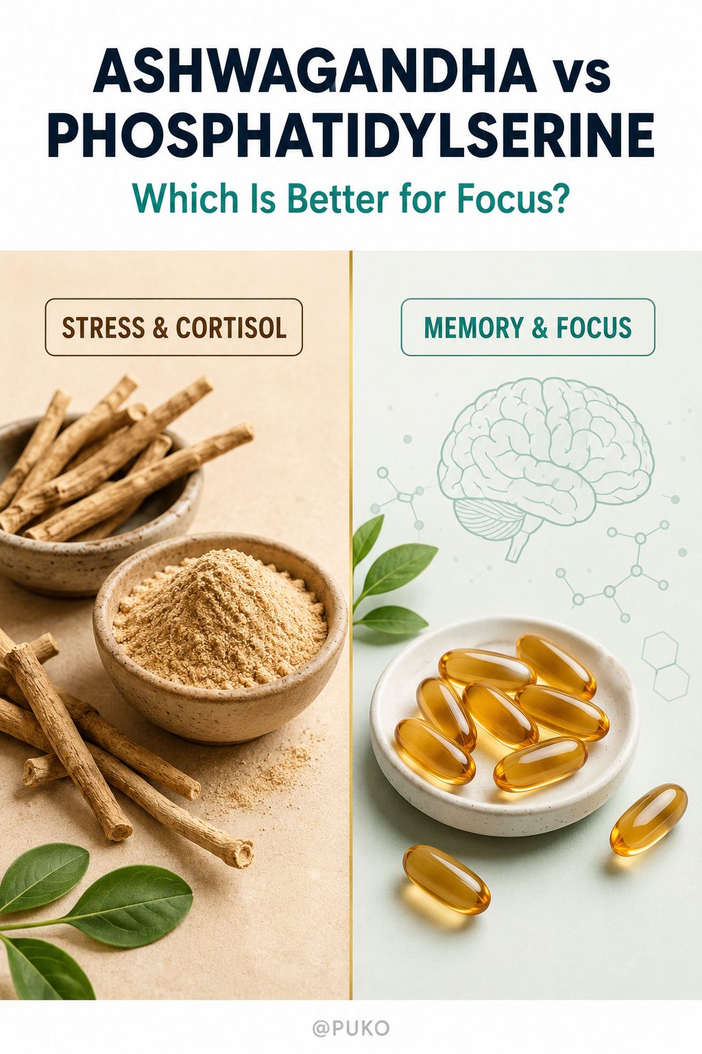 Ashwagandha vs Phosphatidylserine for Focus: Which One (or Both) Should You Take?