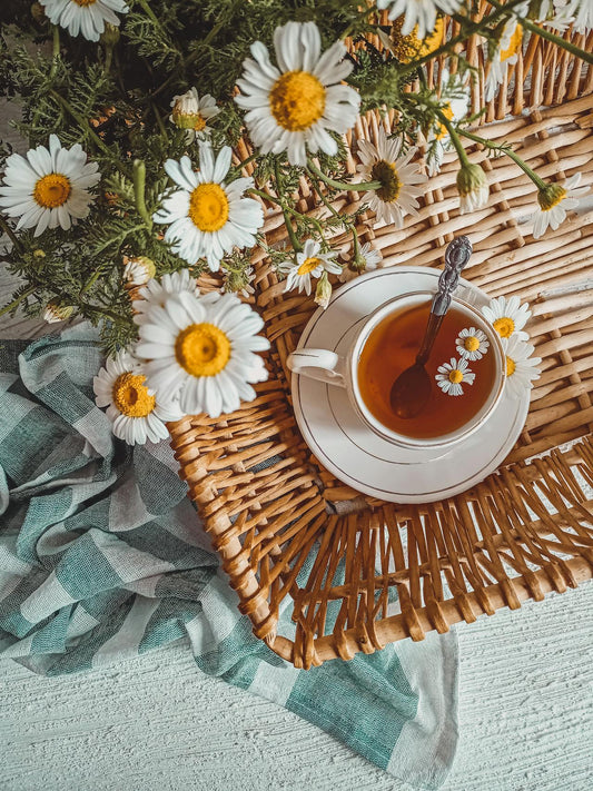 Chamomile flowers beside a cup of herbal tea — what are adaptogens and stress-relief herbs